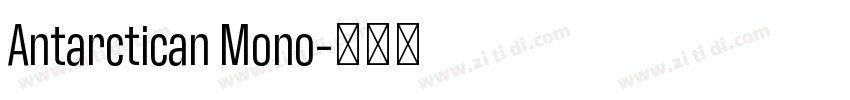 Antarctican Mono字体转换